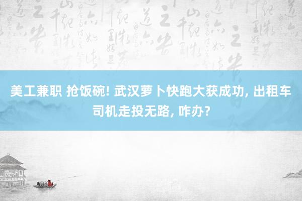 美工兼职 抢饭碗! 武汉萝卜快跑大获成功, 出租车司机走投无路, 咋办?